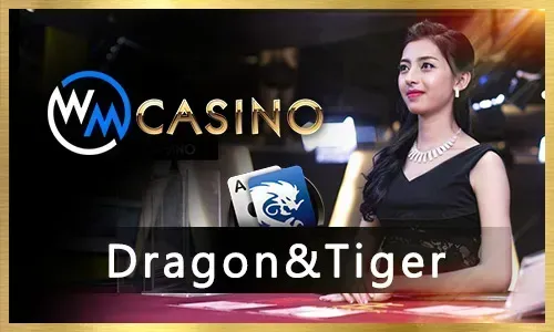 PH365 Online Bingo with various winning patterns and tickets